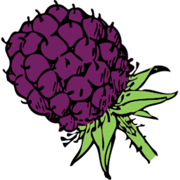 Download free violet food blackberry fruit icon